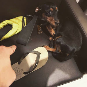 男男Gay做受❌❌高潮羽锡
